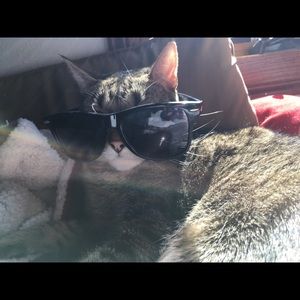 Meet your Posher, Jenna